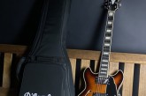 Dangelico Premier Mini DC Brown Burst-20.jpg
